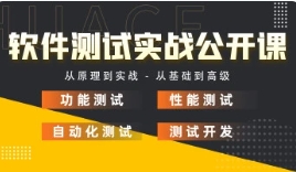品牌实力